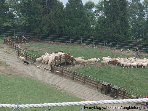 1MYudlAcl8rBg.CUaXYWWw 1MYudlAcl8rBg.CUaXYWWw