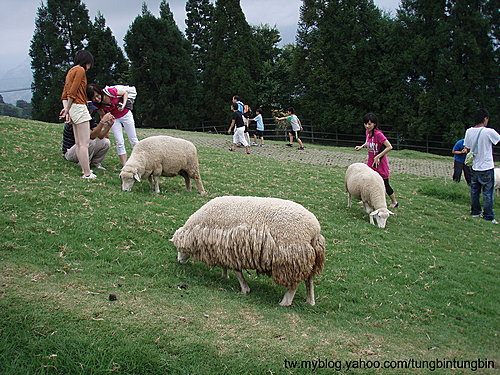 GdrG2U0Tocg3M9eIrFHA.A GdrG2U0Tocg3M9eIrFHA.A