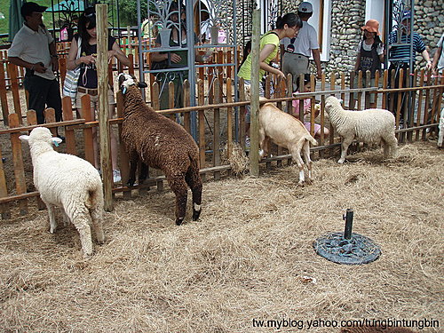 cmcrdm6eoYpyY.7B_or54g cmcrdm6eoYpyY.7B_or54g