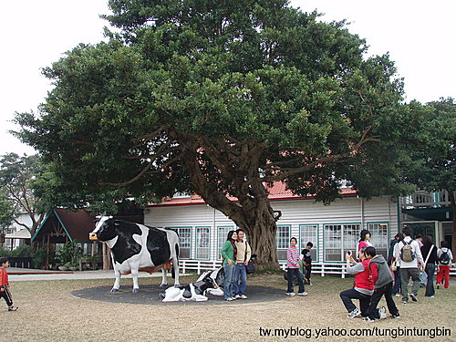 rL1Lw3QHRnl1HFWS4QGQWw