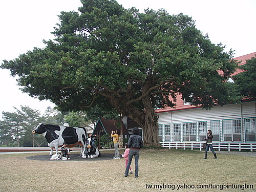 .x19yudMAE_TfEzlAiGnYg