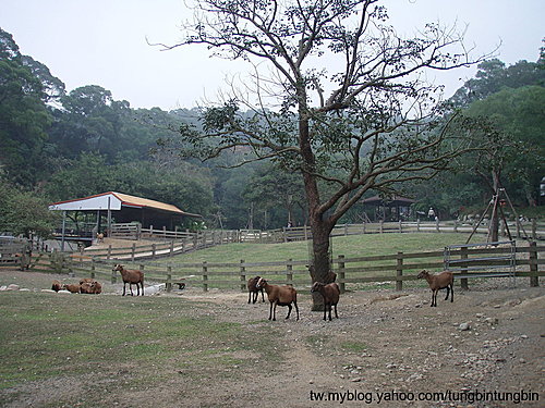 RB49we3oqUtP5gDnekgeHw