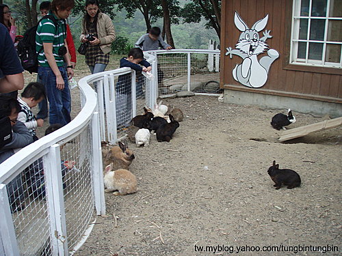 Kbi6v0H6yvfQvpZ1NRD2VQ