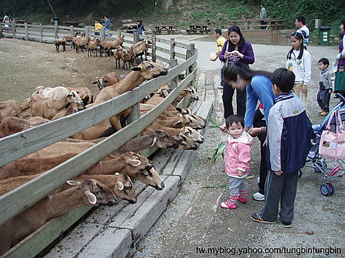 TsJlXIGKVIT1UNS0RZTSYg