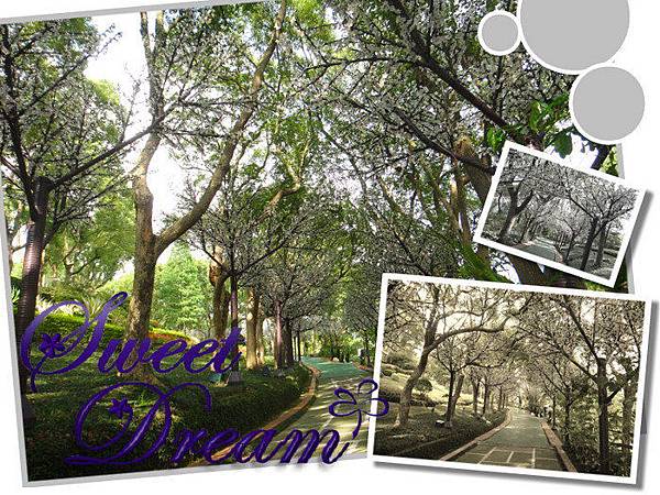 huAh4pUvdg10ZHRnMubozA