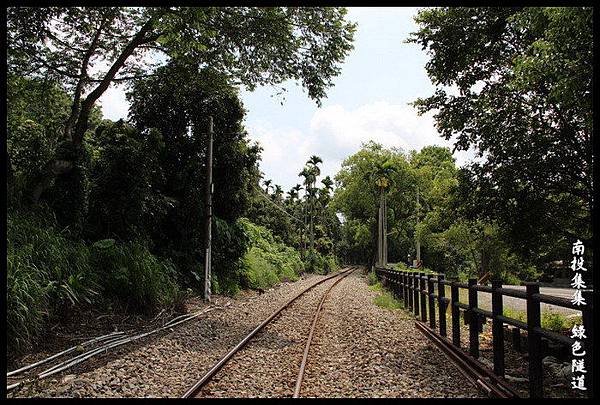 南投集集綠色隧道