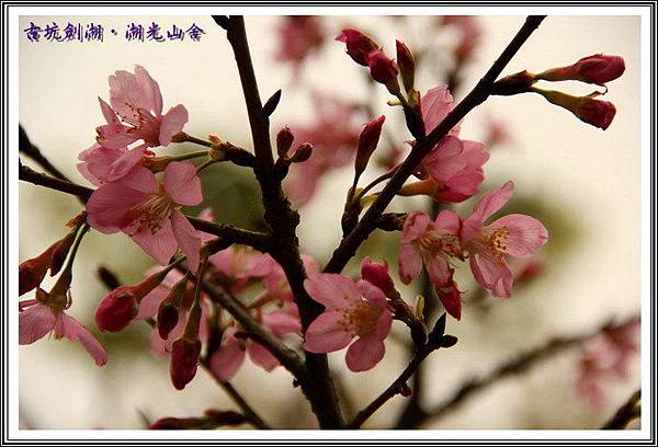 OPaFwkTjGlV3FMMiu9S4OQ