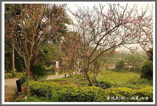 6JJzhJXTCSN12DGFWREmtA