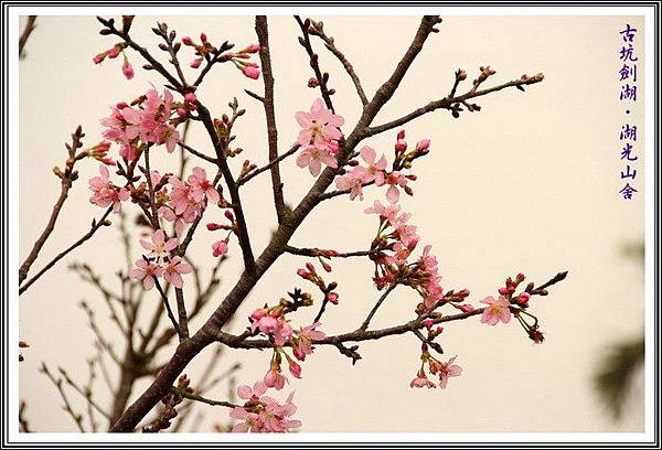 .t5S3kyJfNJq8kNCUUVWlw