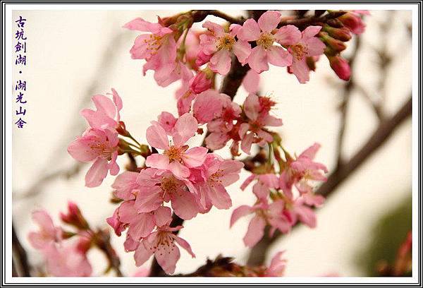 cCxPJr14JZRwozcJzDwYMA