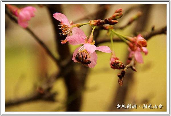 s91XWWipoe3W1V0gdR4_4g