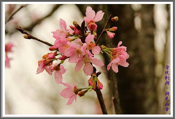 h7sbe0mFIjIUPxSvkfN_.Q