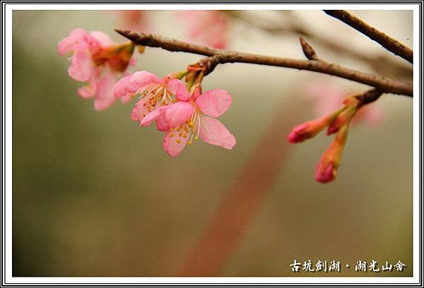 bPJg4ZFzJgbl_wigeJj6bg