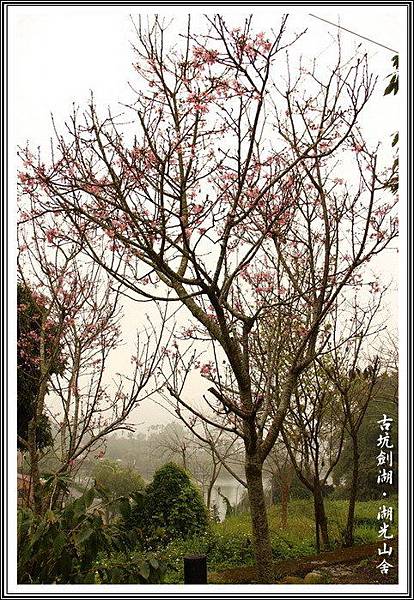 RipxA1TCM507.BPum34RrA