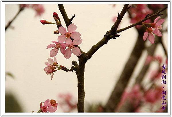 pm46mZndfwlAkqF6BTq6iw