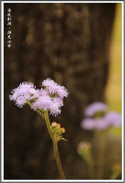 ltqcwVQvIVf7n1X6gJRjiQ