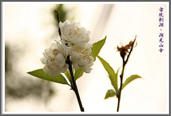 hcOvtnIu3S4LcgRoMolKFQ