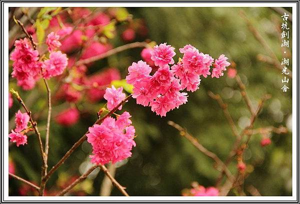 blXRQ6WgJOMVhO4okr0eVg