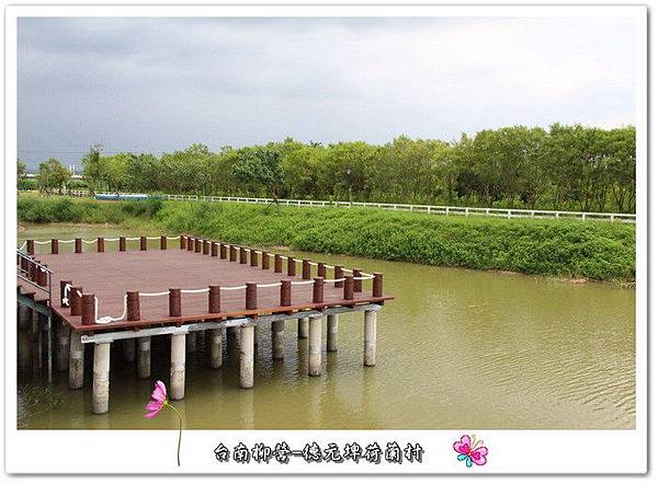 dxivN4RDTMn8dMJxCy0QGQ