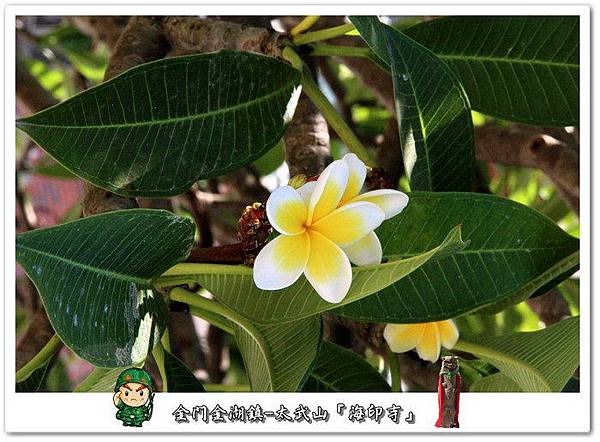 V7zc3fWc.t_1XIm6ALB.jg