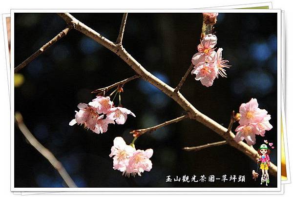 NMH5p_.IbRVc481rRqNhkA NMH5p_.IbRVc481rRqNhkA