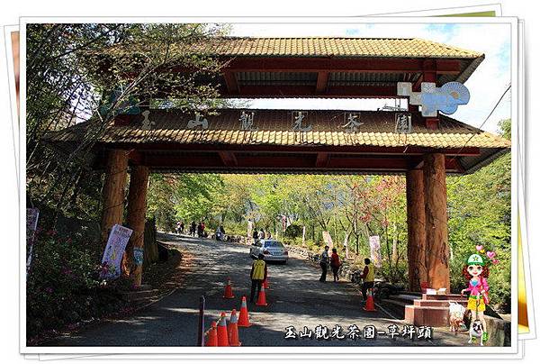 南投『草坪頭玉山觀光茶園』 南投『草坪頭玉山觀光茶園』