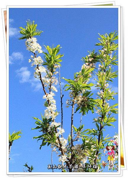 KdPby00_Wap8KBsF2giALg KdPby00_Wap8KBsF2giALg