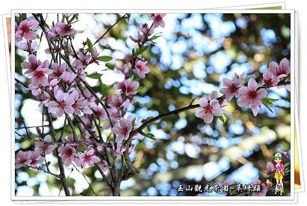 Jfep0urICukleYY_H2gBGQ Jfep0urICukleYY_H2gBGQ