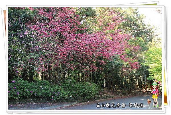 48nYJC.F65ZsLymKSPRSlw 48nYJC.F65ZsLymKSPRSlw