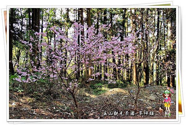 x59kT11tA5.oCuEJ22bZWA x59kT11tA5.oCuEJ22bZWA