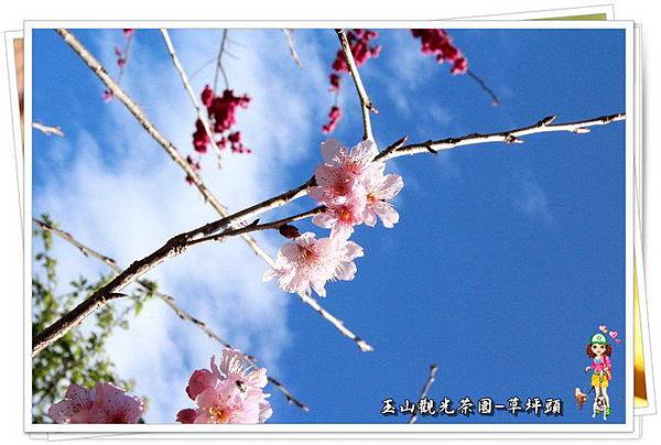 6oE94zloNBmDWYKB9VN2Ig 6oE94zloNBmDWYKB9VN2Ig