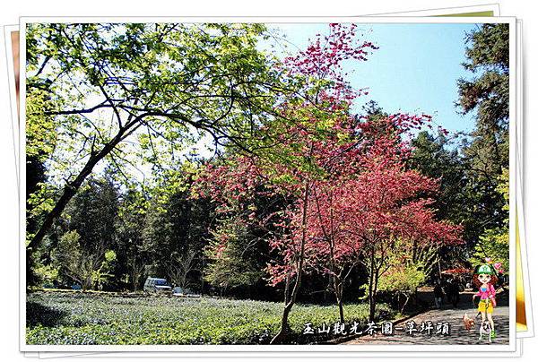 ytk7zESw4fXFhVPFiLmd.Q ytk7zESw4fXFhVPFiLmd.Q