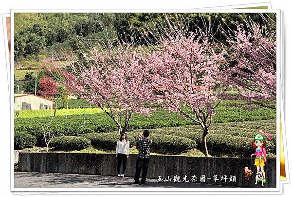 c4F1YzOiACA2PS.t1IJhdg c4F1YzOiACA2PS.t1IJhdg