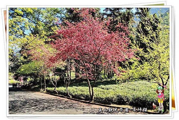 nyESo6rifFxI3hgPSVmn5A nyESo6rifFxI3hgPSVmn5A