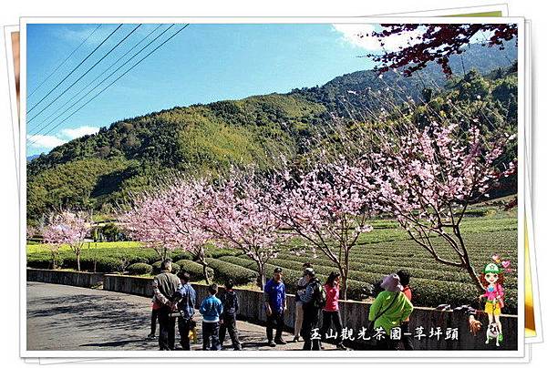 cxYx7RZsZ7fHlXtZtdfp1w cxYx7RZsZ7fHlXtZtdfp1w