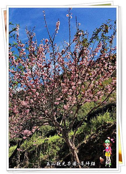 rnk8FaCXGxQjV.WPQzDM2Q rnk8FaCXGxQjV.WPQzDM2Q