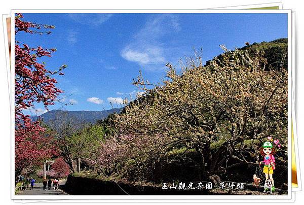 uUhLy8OeM3LL2XzzHb0O1g uUhLy8OeM3LL2XzzHb0O1g