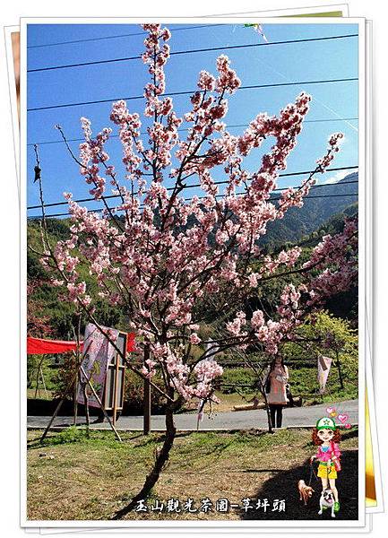 AxbrX1IuiQu5hPdnwvsTxQ AxbrX1IuiQu5hPdnwvsTxQ