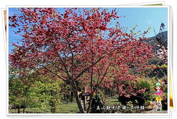 Tk.eTQ_q74rJSCEw30wOcg Tk.eTQ_q74rJSCEw30wOcg