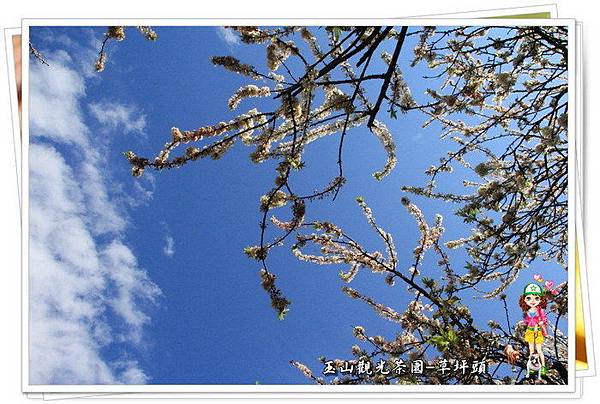 KuHgteZmnrCo05Z.pWR1dg KuHgteZmnrCo05Z.pWR1dg