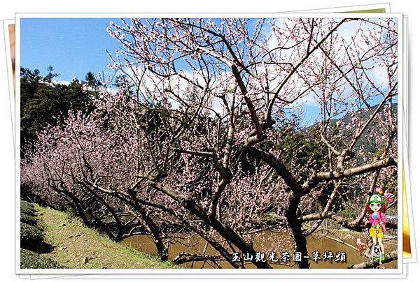 b7PCBbttCB5MeB7OrzbzfA