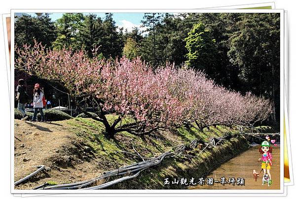 aSrW3zmAeIQrQa3ME2i89g aSrW3zmAeIQrQa3ME2i89g