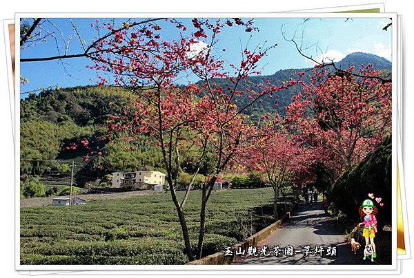 qQk0UVuQ4M9cKLcvOYfz9Q qQk0UVuQ4M9cKLcvOYfz9Q