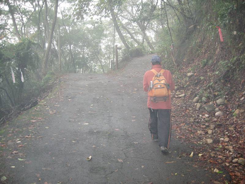 谷關七雄之東卯山