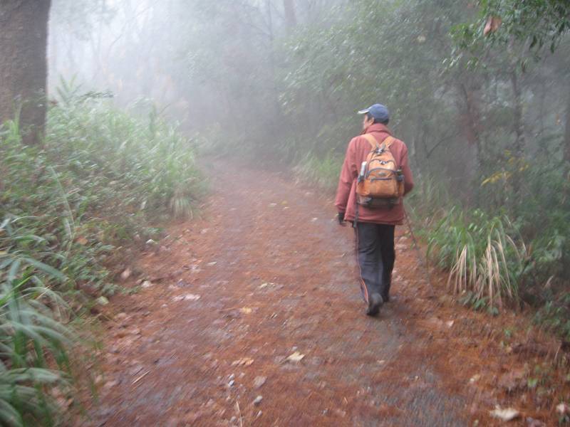 谷關七雄之東卯山
