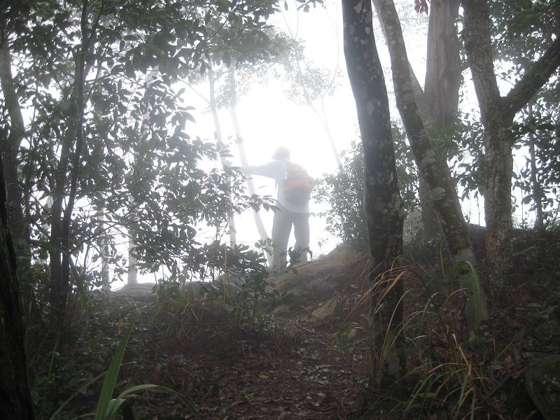 谷關七雄之東卯山
