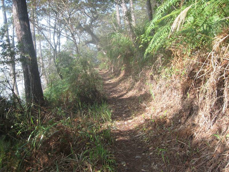 谷關七雄之東卯山