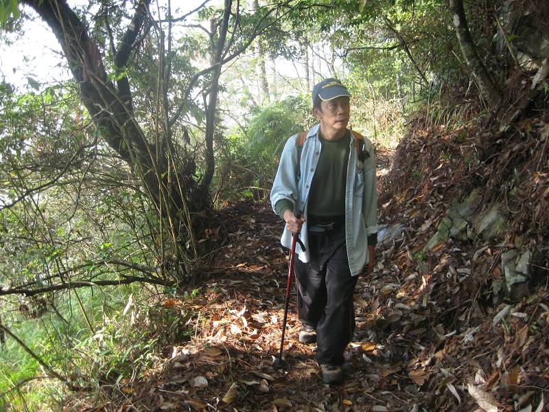 谷關七雄之東卯山