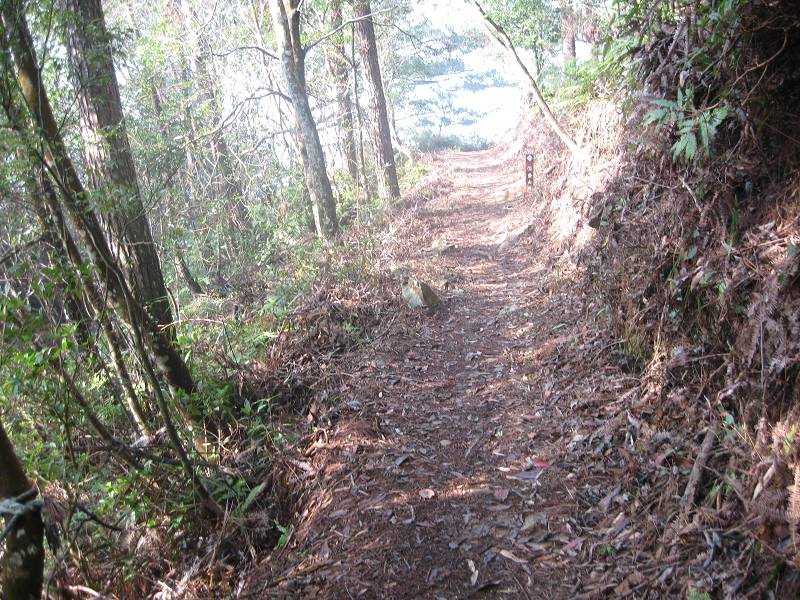 谷關七雄之東卯山