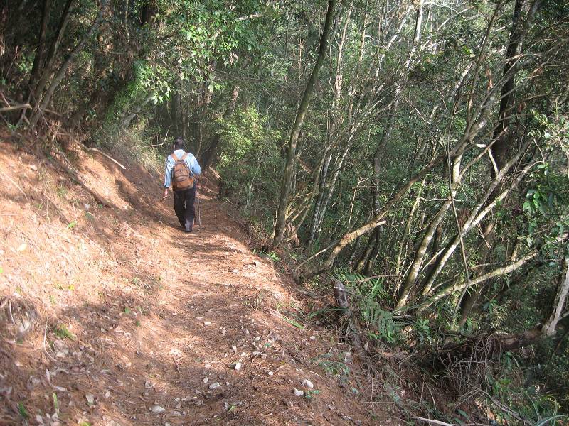 谷關七雄之東卯山